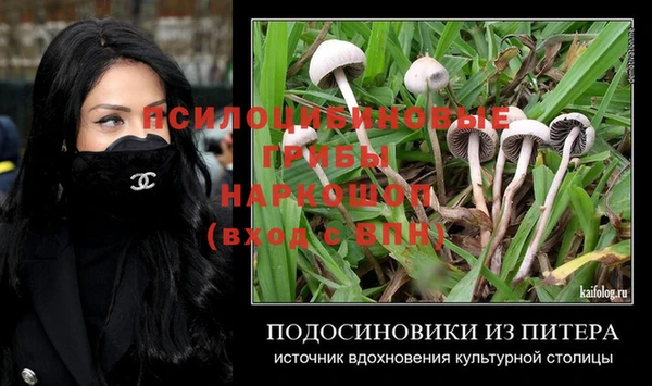 apvp Армянск