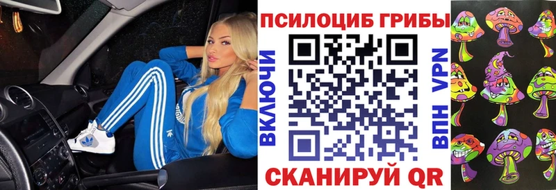 Псилоцибиновые грибы мицелий  Дзержинский 